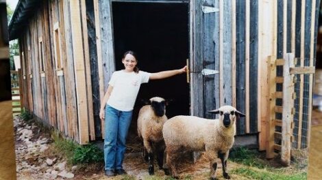 Early Spring in the Barn Image